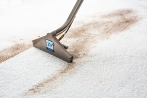 carpet cleaning tucson