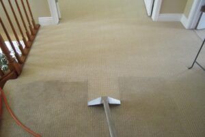 carpets after clean