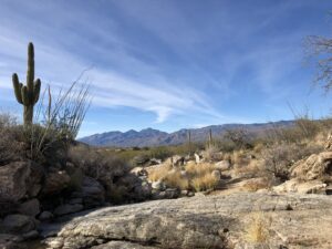 hiking in tucson